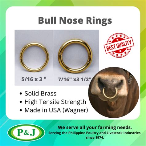 Bull Nose Ring Lazada Ph Buy Sell Online Others With Cheap Price