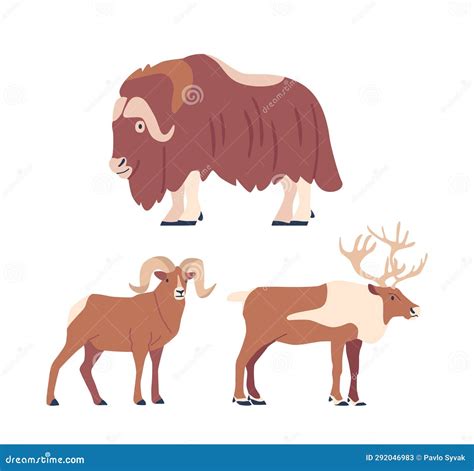 Arctic Horned Animals Include The Majestic Muskoxen Or Muskox And Deer