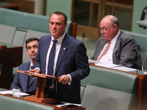 Gay Marriage Bill Tim Wilson Proposes To Partner Ryan Bolger In House Of Representatives News