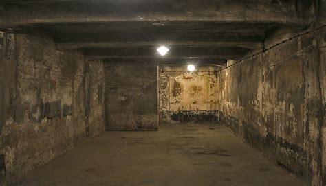 Forced out of the dark, stinking container into the bitter cold, yvonne faced rows of menacing german officers and barking dogs. Gas Chamber I and Incinerator Room at Auschwitz - The ...