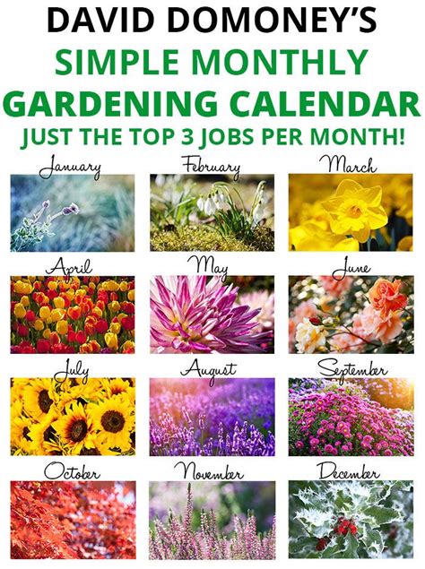 Gardening Calendar The Top 3 Gardening Jobs For May Easy Garden