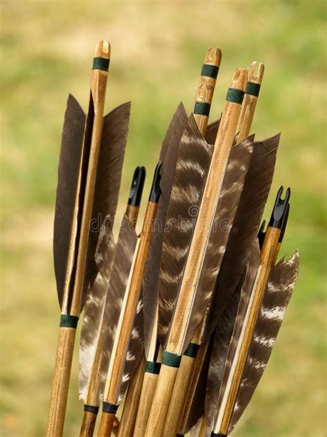 Archery Arrows Bunch Of Wooden Archery Arrows Arrow Tails Made With
