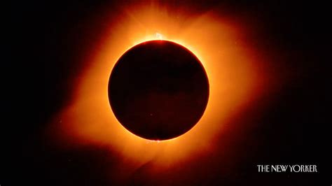 What The 2017 Total Solar Eclipse Will Feel Like For Humans And