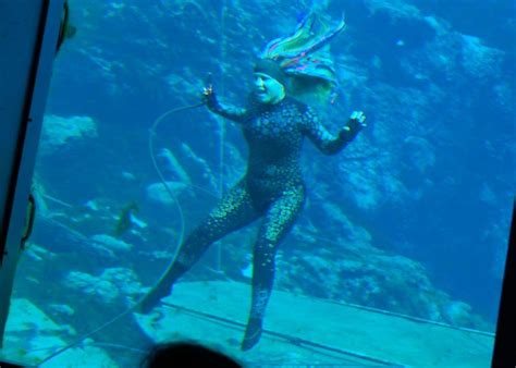 The Real Life Underwater Mermaids Of Weeki Wachee Florida