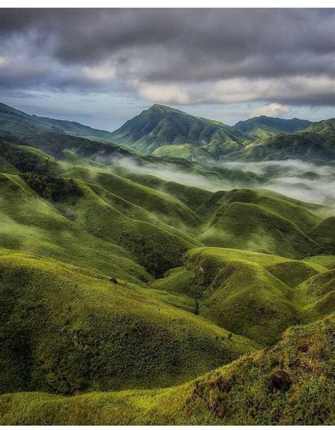 Rolling Hills And Flowers Galore In Dzukou Valley Nagaland Artofit