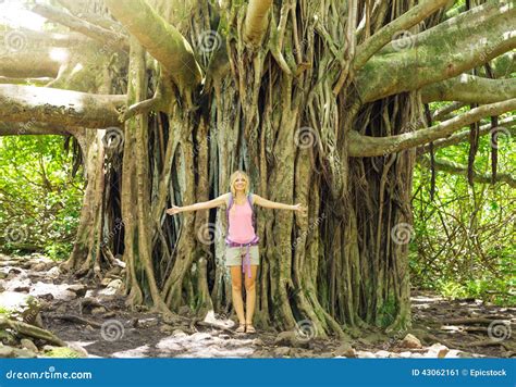Woman Standing In Front Of Incredible Banyan Tree Stock Image Image