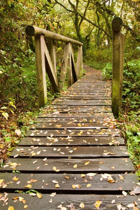 Raised Wooden Pathway At Shapwick Heath Nature Reserve Stock Image