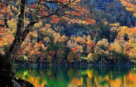 Wallpaper 2048x1316 Px Chile Fall Forest Lake Landscape