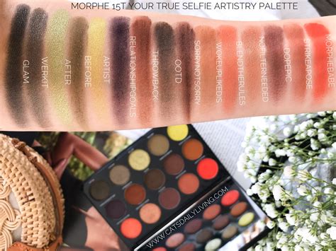 Morphe Eyeshadows: Are They Worth The Hype? | Morphe 15T ...
