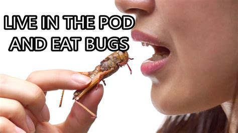 The Rights War Against Eating The Bugs Is Actually Working