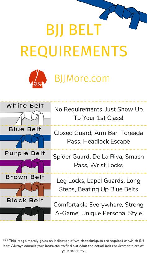 Bjj Belt Requirements And Curriculum 5 Easy Steps