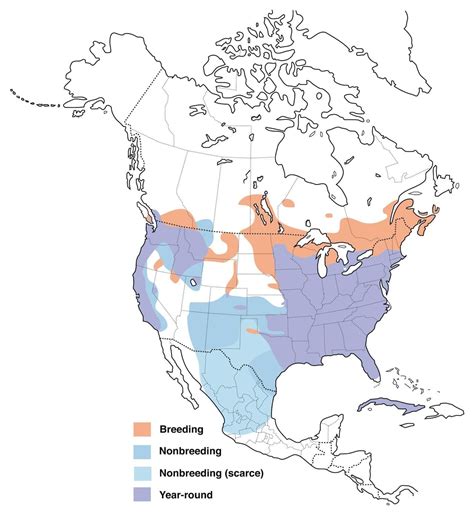 Range Map For Wood Duck Wood Ducks Duck Species Wildlife Habitat