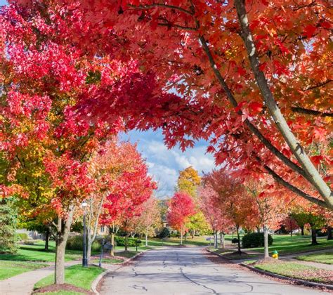10 Best Places To See Fall Foliage In Ohio Midwest Explored Day