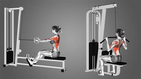 Lat Pulldown Vs Seated Row Major Differences Explained Lat Pulldown Rowing Workout Back