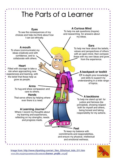 one teacher s journey the learner profiles