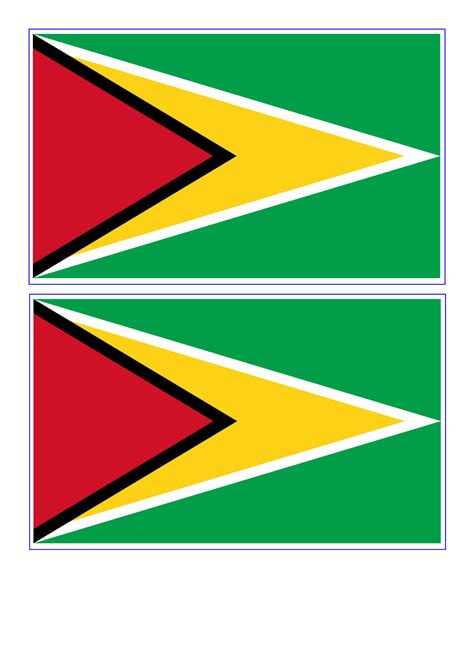 Guyana Flag Templates At