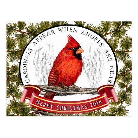 Christmas Cardinal Postcard With Custom Message