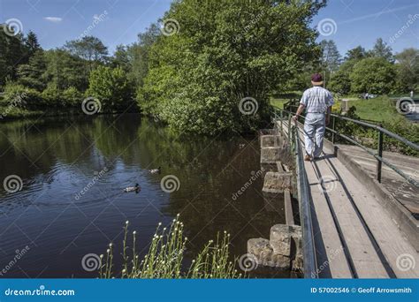 A Walk In The Park At Etherow On A Sunny Day Stock Photo Image Of