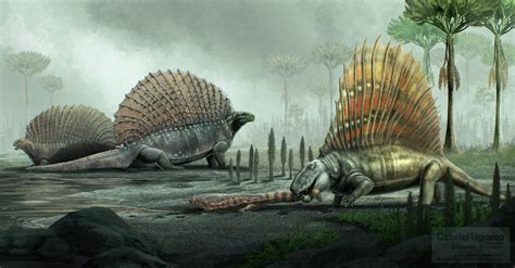 Dimetrodon Paleontology Wiki Fandom