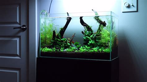 Full Aquascaping System In Depth Youtube