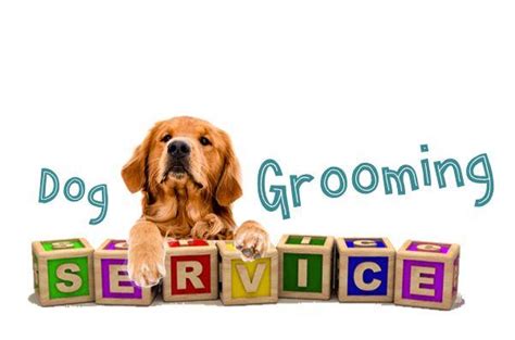 These are light customization options to give your pet a unique look. My Pet Services | Mobile Dog Washing Dog Grooming and Pet ...