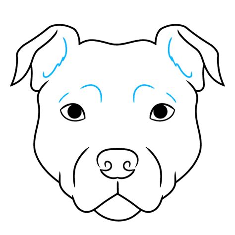 How To Draw A Pitbull Step By Step For Kids