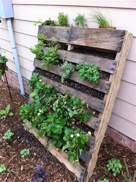 Pallet Gardening Innovativegardening