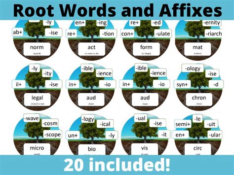Root Words And Affixes Display Teaching Resources