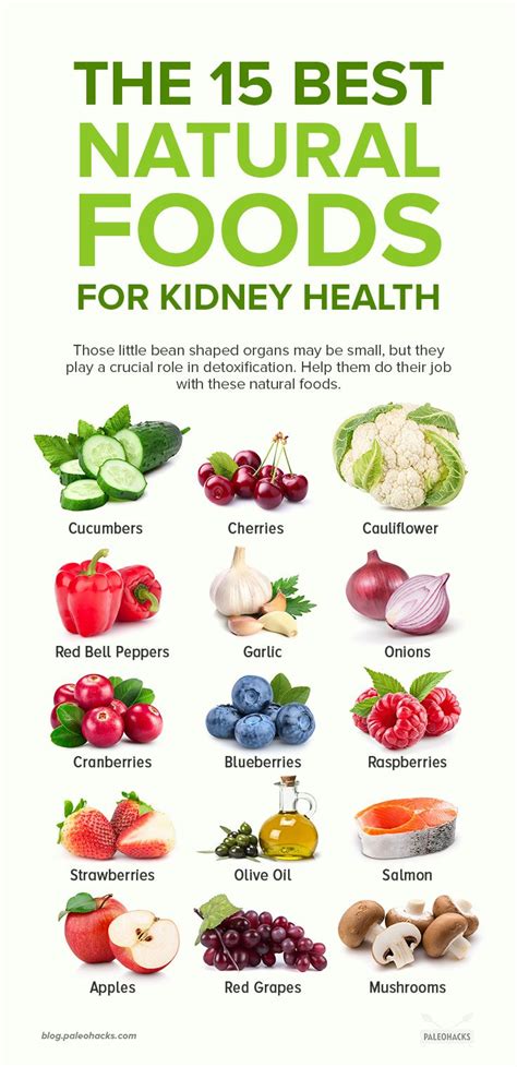 The 15 Best Natural Foods For Your Kidneys Health