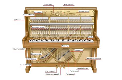 Die klaviatur | die klaviaturen. Klavier Teile Beschriftet / Fingerübungen am Klavier ...