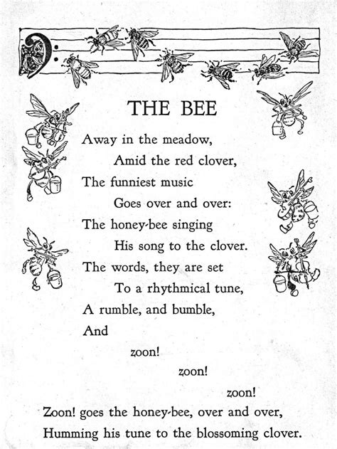 The Bee Bee Poem Bee Honey Bee