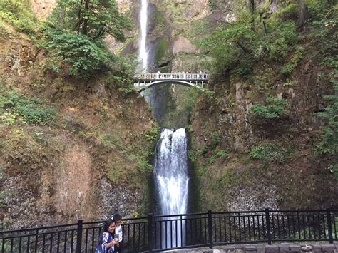 2024 Columbia Gorge Waterfalls And Wine Tour From Portland