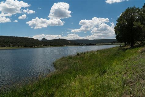 Quemado Lake Nm Stock Image Image Of Landscape Shoreline 155982563