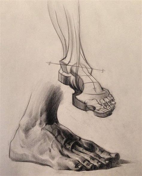 Done By Burne Hogarth Academic Artworks Human Anatomy Drawing