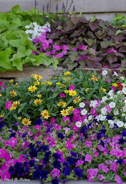 Turn Your Winter Flower Beds Into Thriving Floral Treasure Troves See