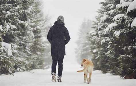 4 Health Benefits Of Winter Walks The Inertia