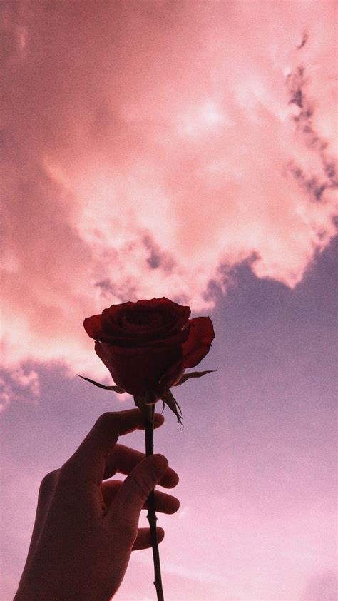 Download 92 Kumpulan Wallpaper Aesthetic Rose Hd Terbaru