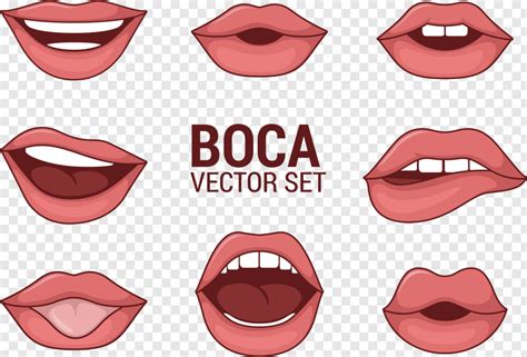 Womans Boca Vectors Boca Vector Png 2461x1667 23809712 Png Image