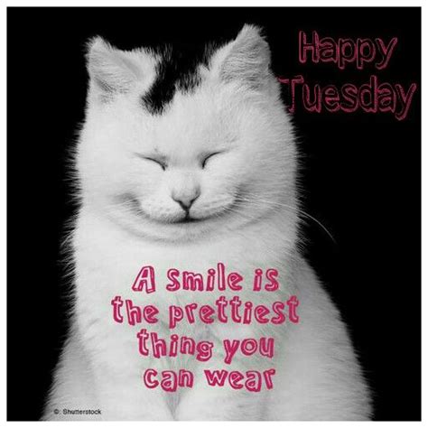 It is bad to suppress laughter. Happy Tuesday | Morning quotes funny, Happy tuesday quotes ...