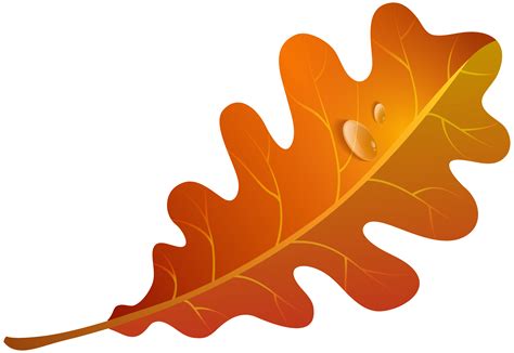 Orange Leaf Clip Art - ClipArt Best png image