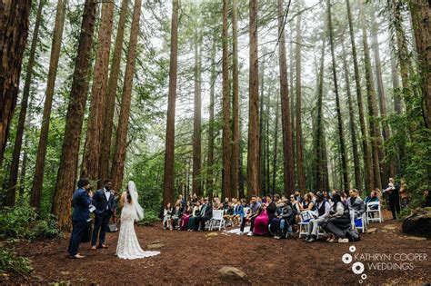 A Gorgeous California Redwoods Wedding Emily And Leroy