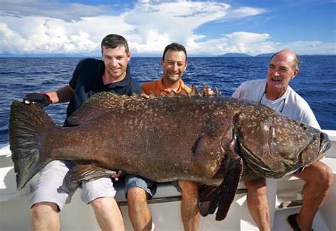 Biggest Fish Ever Caught 17 World Record Fish Fishmasters Com