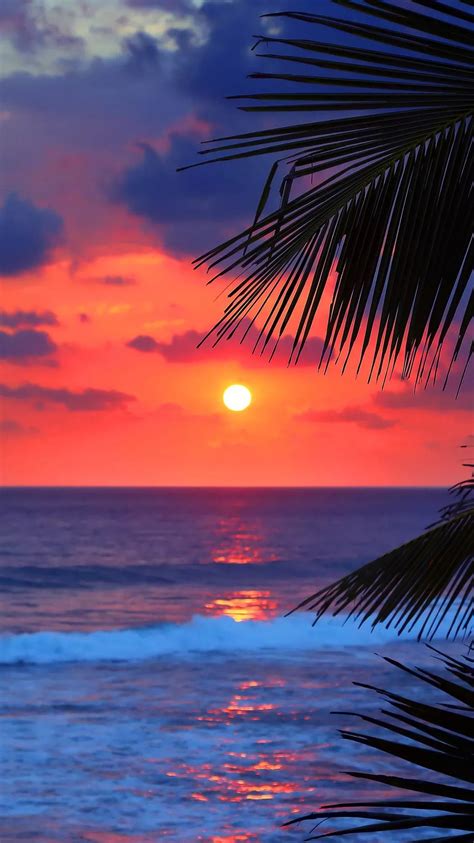 A Beautiful Sunset Scenery To Look At The Beach Beach Scenery