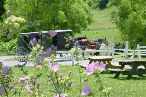 Visit Walnut Creek Ohio In Ohios Amish Countrywalnut Creek Ohio In