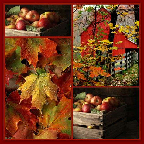 Collage By Becky J Beauty 16 Fall Pictures Beautiful Collage