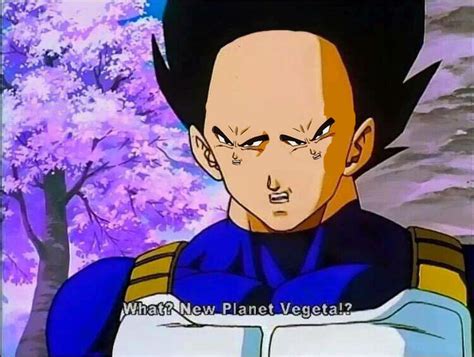 Our dragon ball fighterz moves, combos, and special attacks guide. If you take out the widows peak Vegeta's face is literally ...