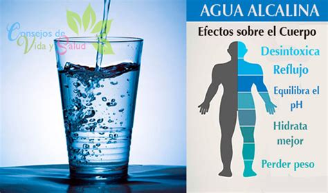 C Mo Preparar Agua Alcalina Para Combatir La Fatiga Problemas