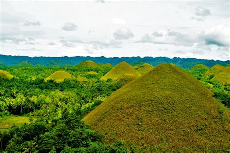 Chocolate Hills Bohol Philippines Farmland Bohol Explore