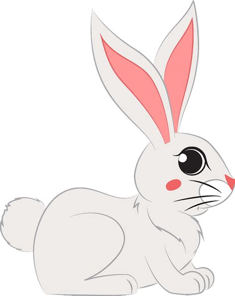 Png Rabbit Cartoon Transparent Rabbit Cartoonpng Images Pluspng Images