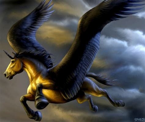 Dun Pegacorn Fantasy Horses Mythical Creatures Unicorn Pictures